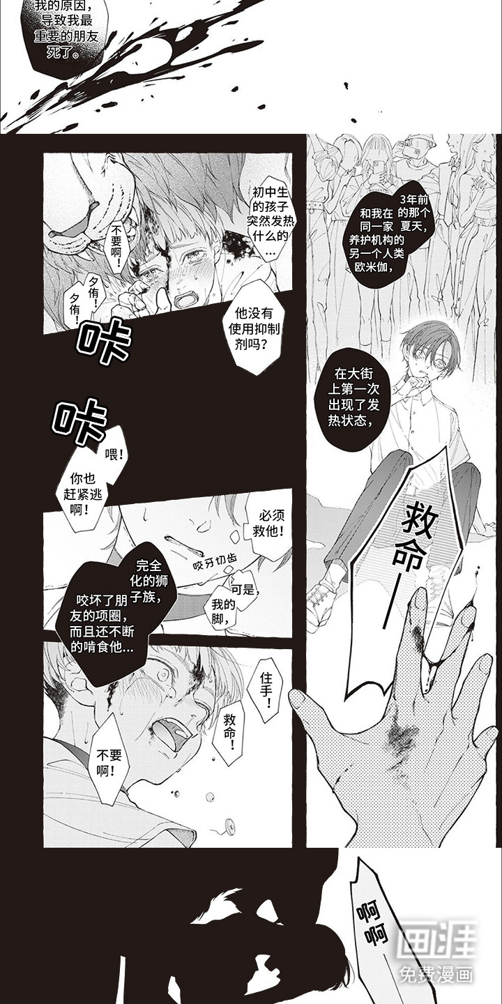 第11话：第11章：原因预览分镜