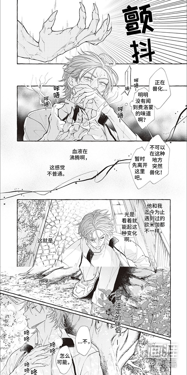 第13话：第13章：【番外】他们的初见（完结）预览分镜