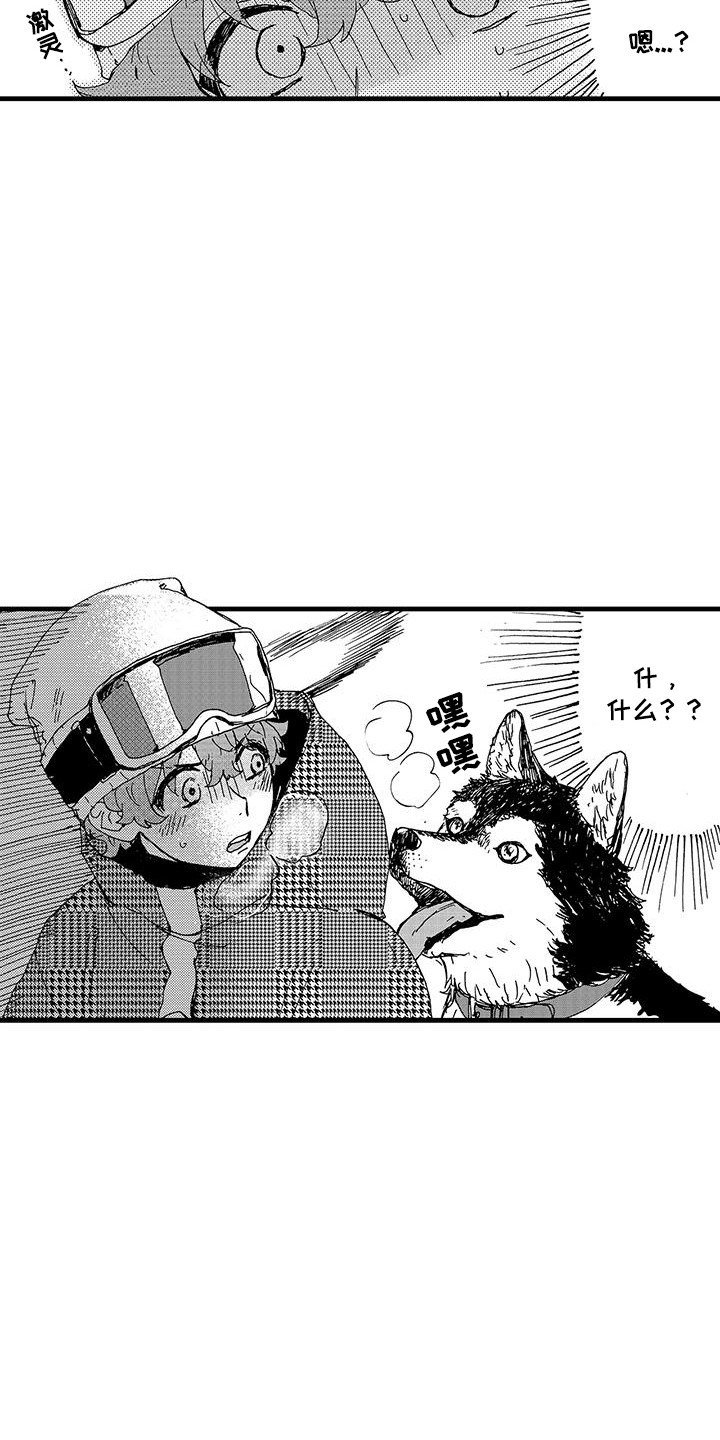 第12话：第12章：冰释前嫌预览分镜
