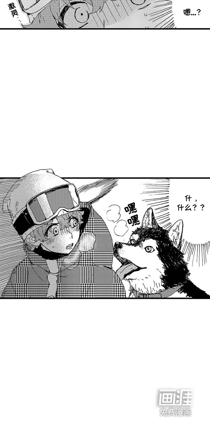 第12话：第12章：冰释前嫌预览分镜