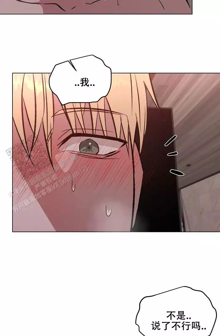 我爱你(完结)