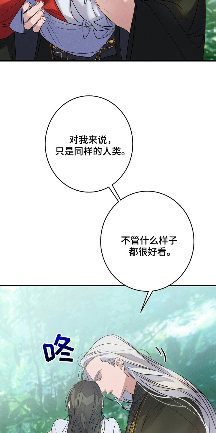 第11话：第11章：感觉很好预览分镜