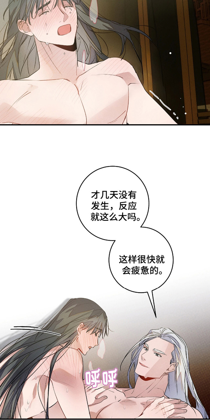 第12话：第12章：很可爱预览分镜
