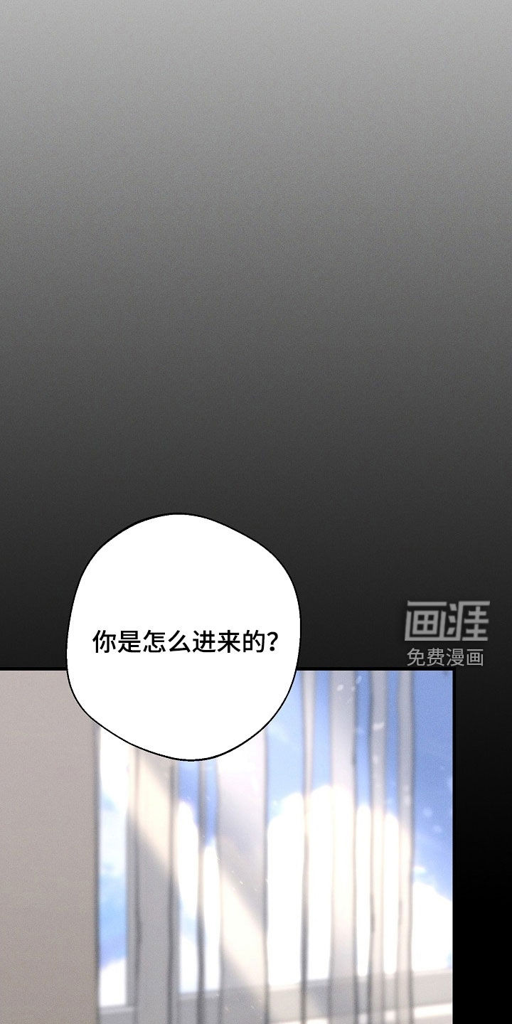 第55章:22年前