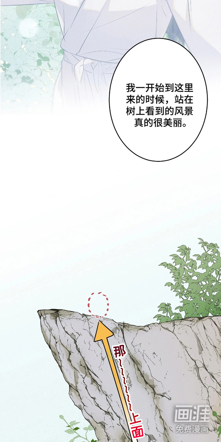 第9话：第9章：山崖预览分镜