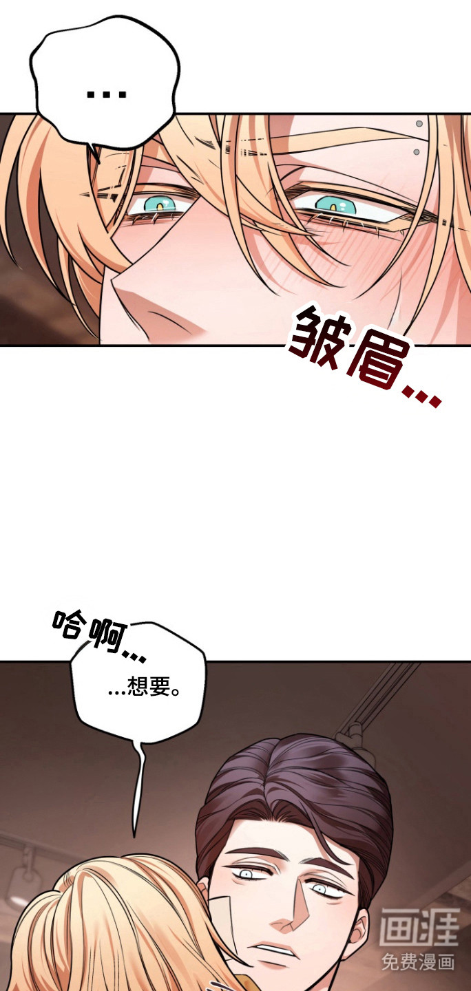 第27章:不再害怕(完结)