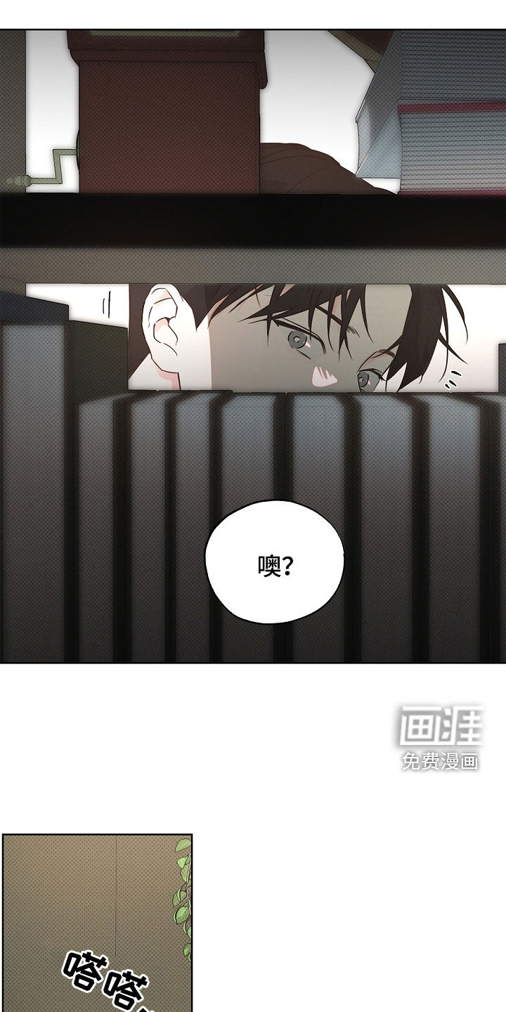 第39章:认得我最好