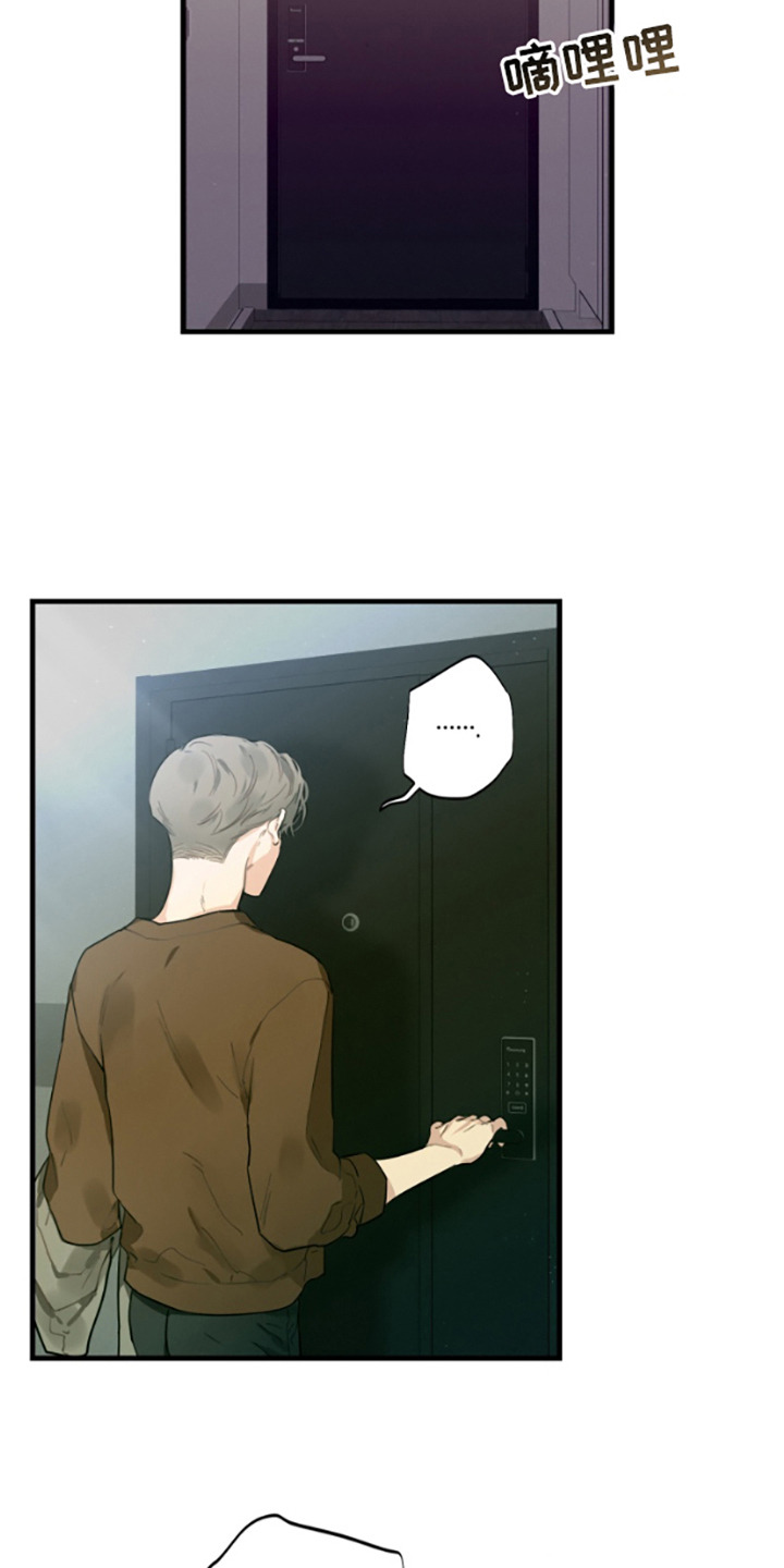 第11话：第11章：汇报预览分镜