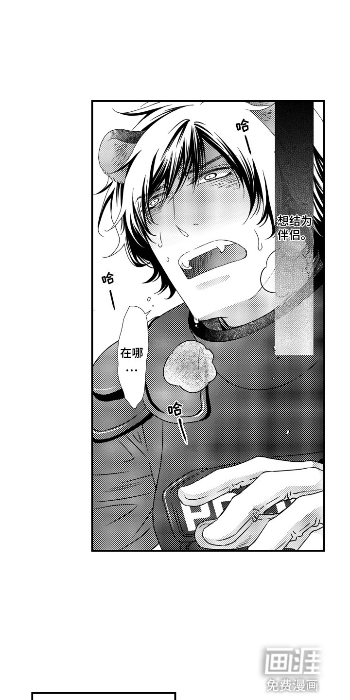 第10话：第10章：阻止预览分镜