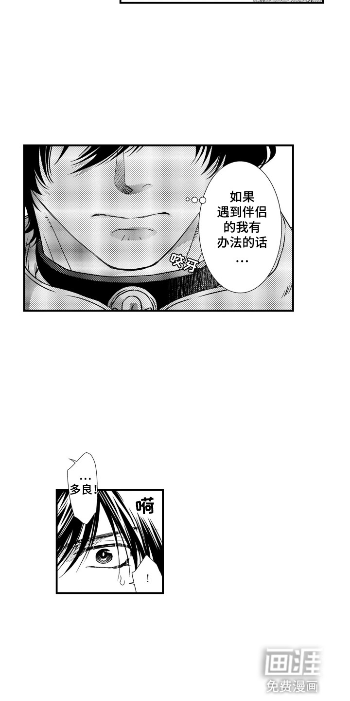 第15话：第15章：暴露预览分镜