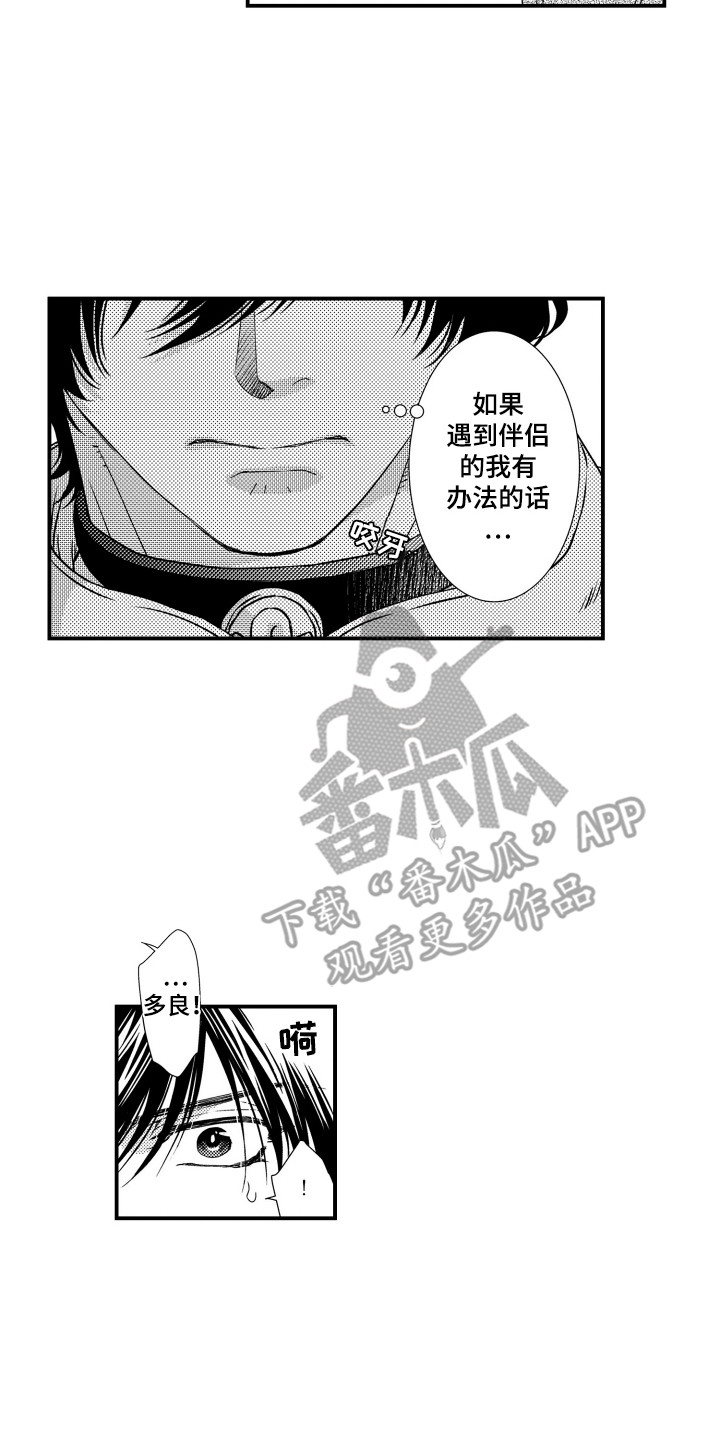 第15话：第15章：暴露预览分镜