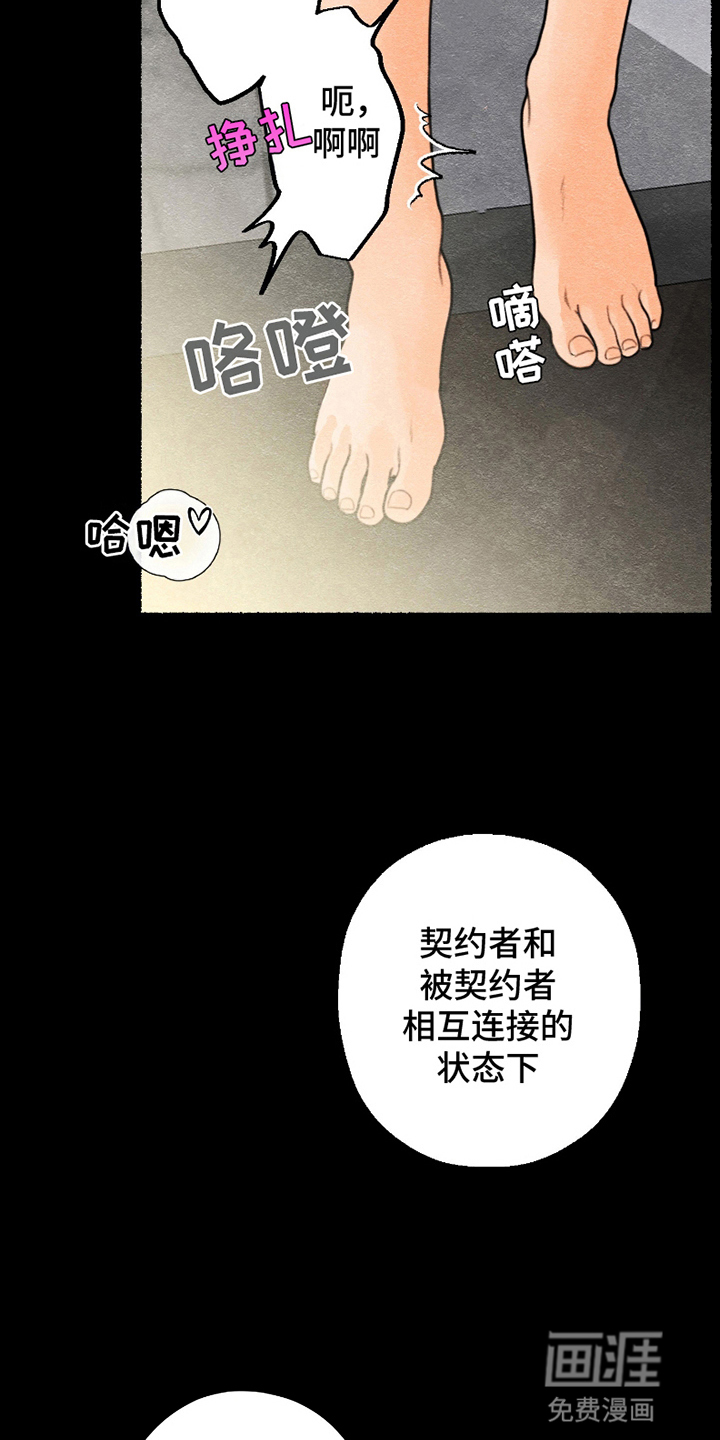 第5话：第5章：结为伴侣预览分镜