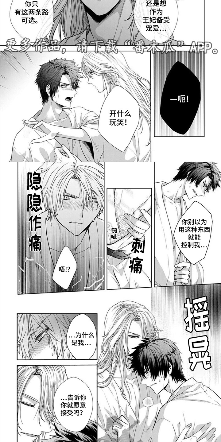 第2话：第2章：纹章预览分镜