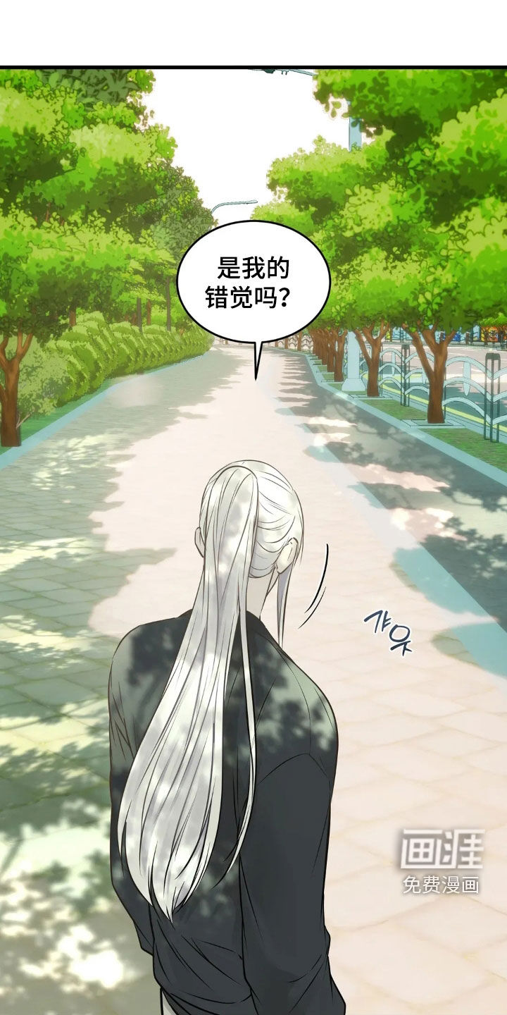 第37章:一样的心意