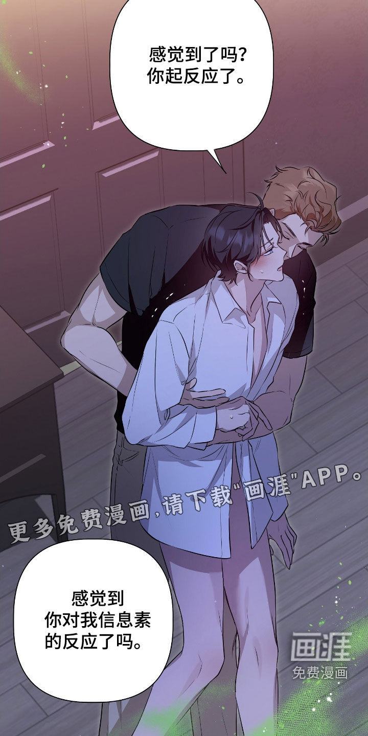 第16话：第16章：成结预览分镜