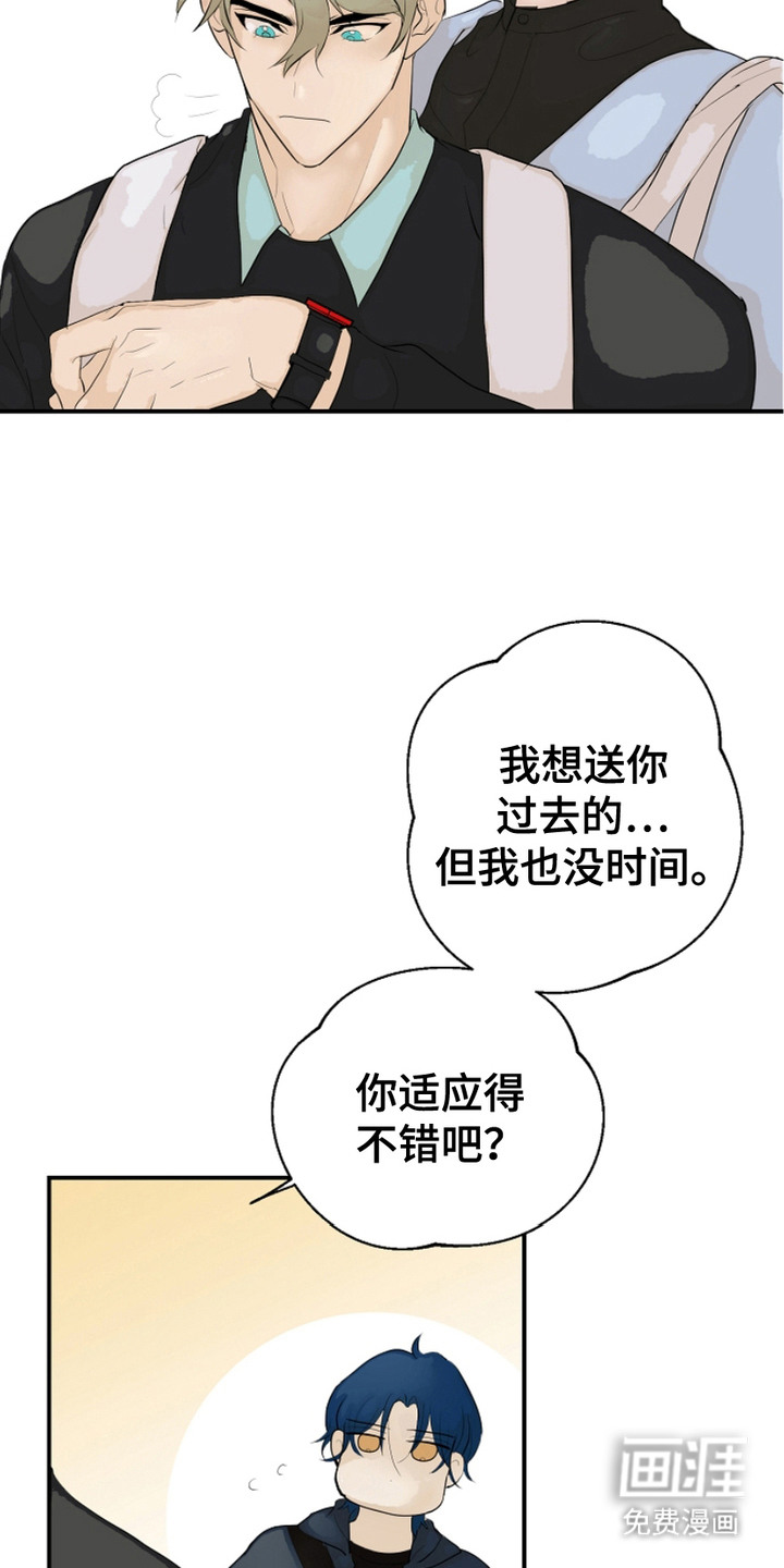 第4话：第4章：背后议论预览分镜