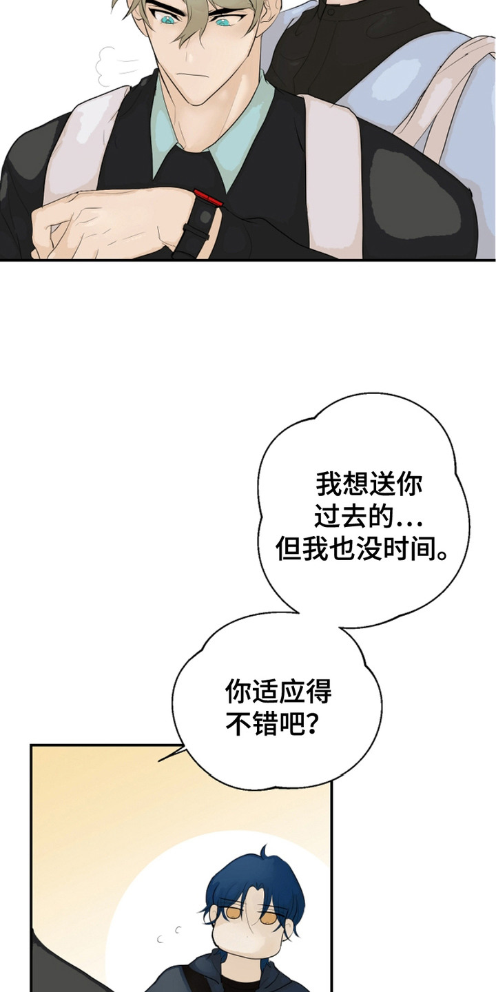 第4话：第4章：背后议论预览分镜