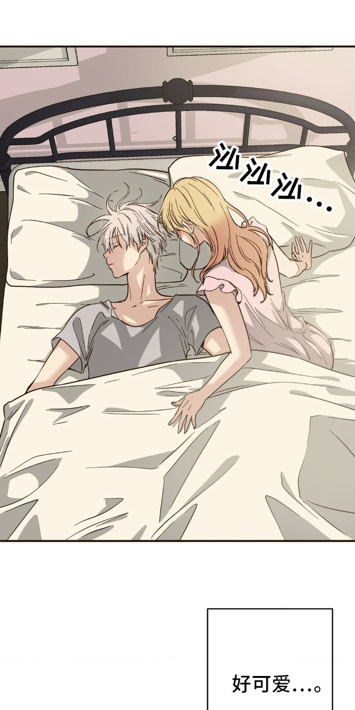第5话：第5章：收留预览分镜