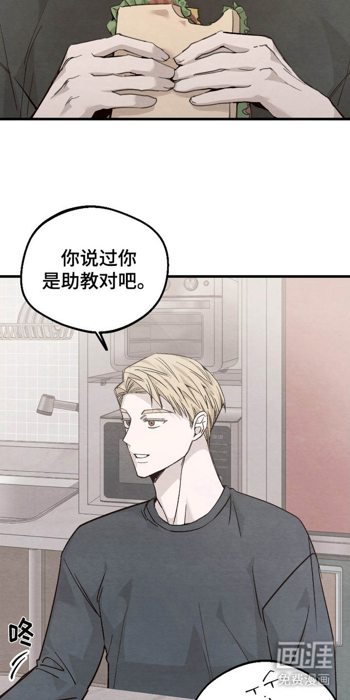 第4话：第4章：逛一逛预览分镜