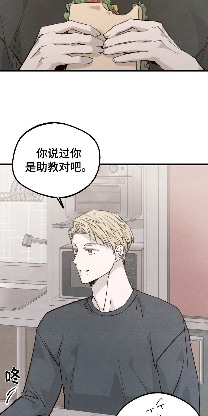 第4话：第4章：逛一逛预览分镜