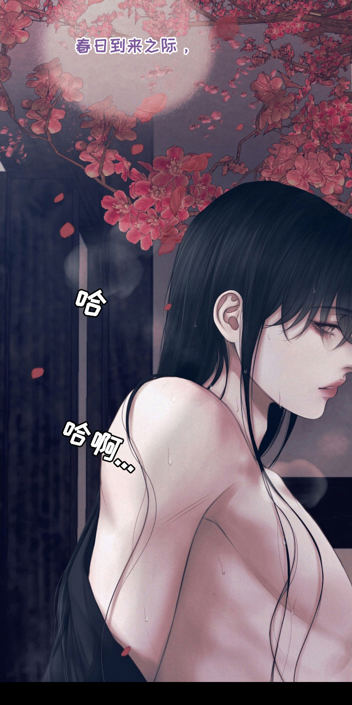 第1话：第1章：婚约预览分镜