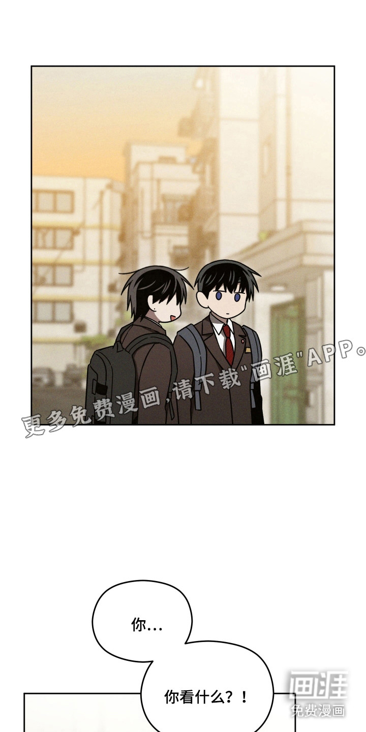 第41章:和平一天