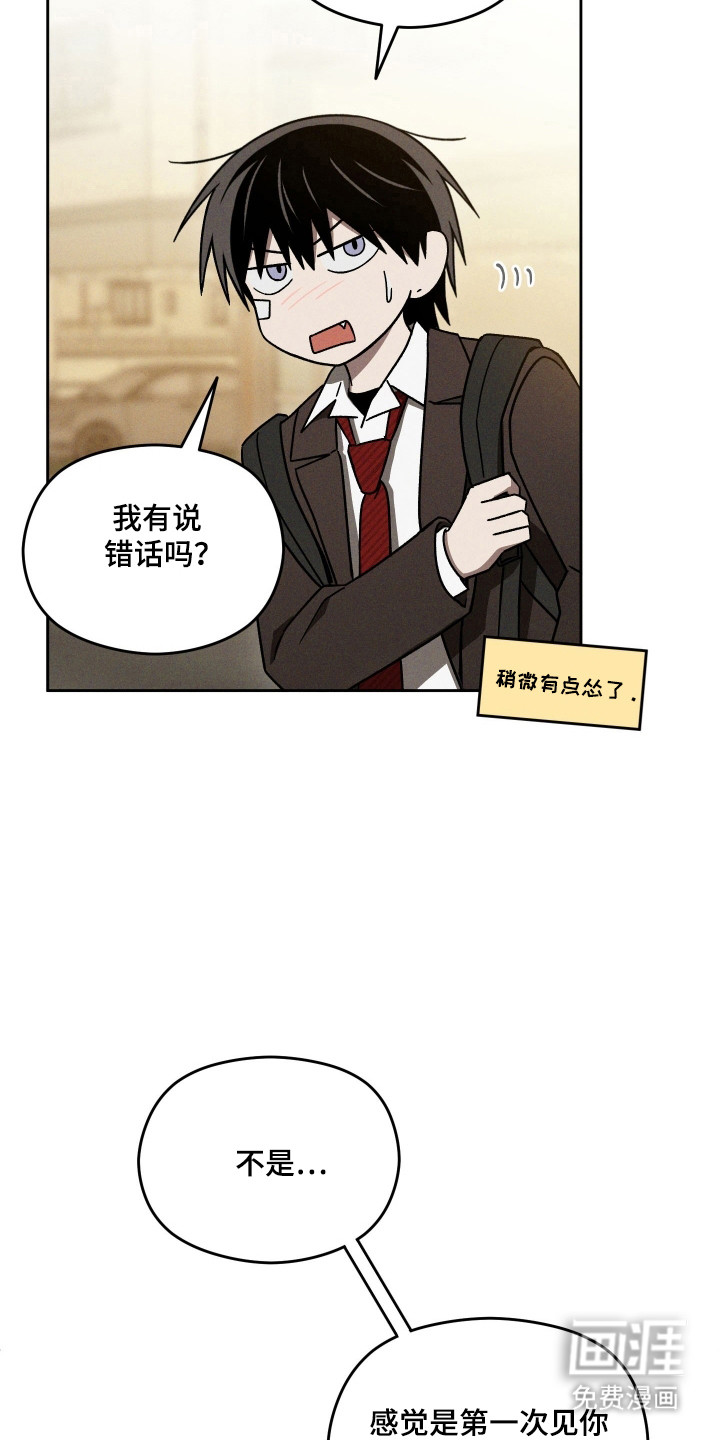 第41章:和平一天