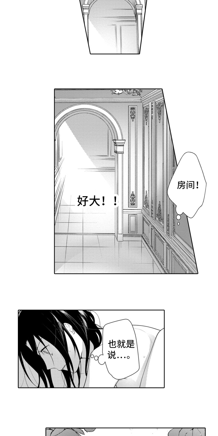 第17话：第17章：又回来了预览分镜
