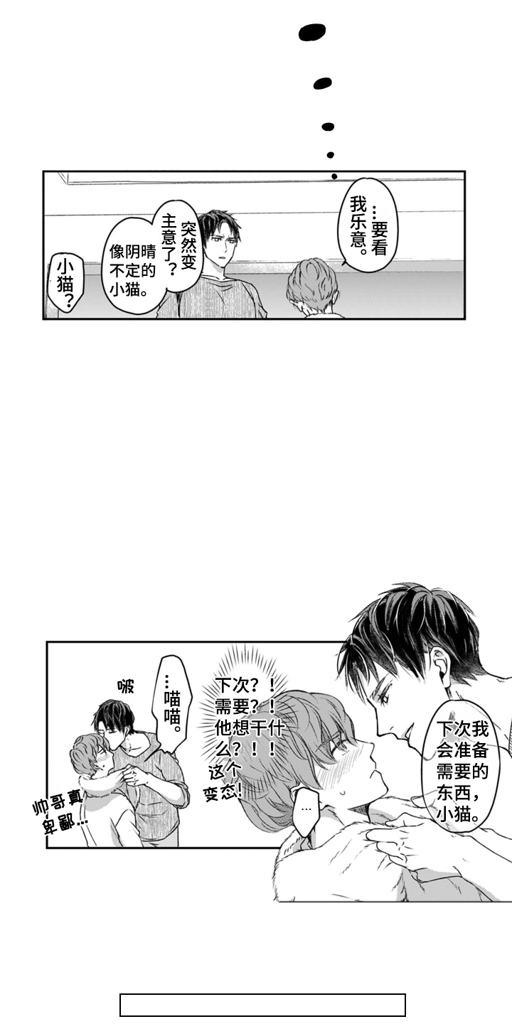 第4话：第4章：小猫咪预览分镜