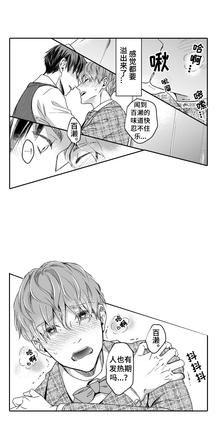 第18话：第18章：公平评判预览分镜