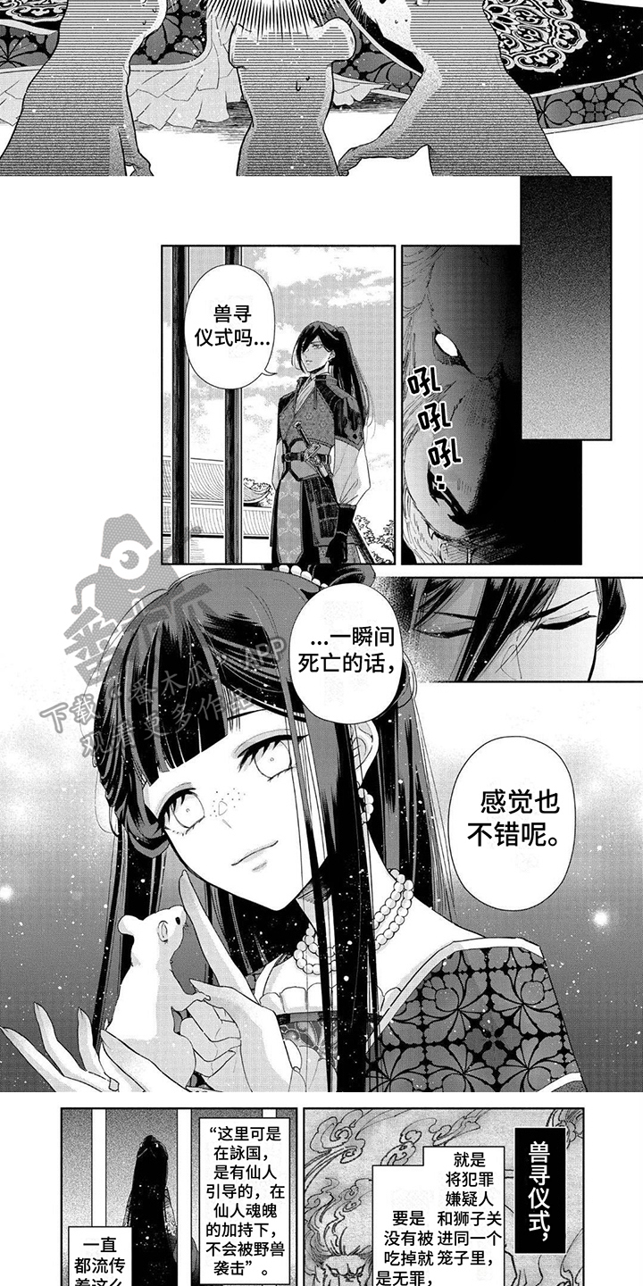 第5话：第5章：令人羡慕预览分镜