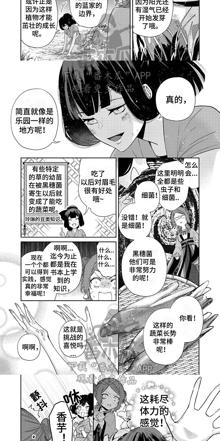 第13话：第13章：热情的生活预览分镜