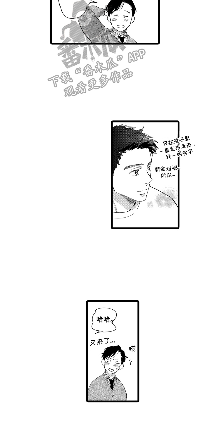 第12话：第12章：很可爱预览分镜