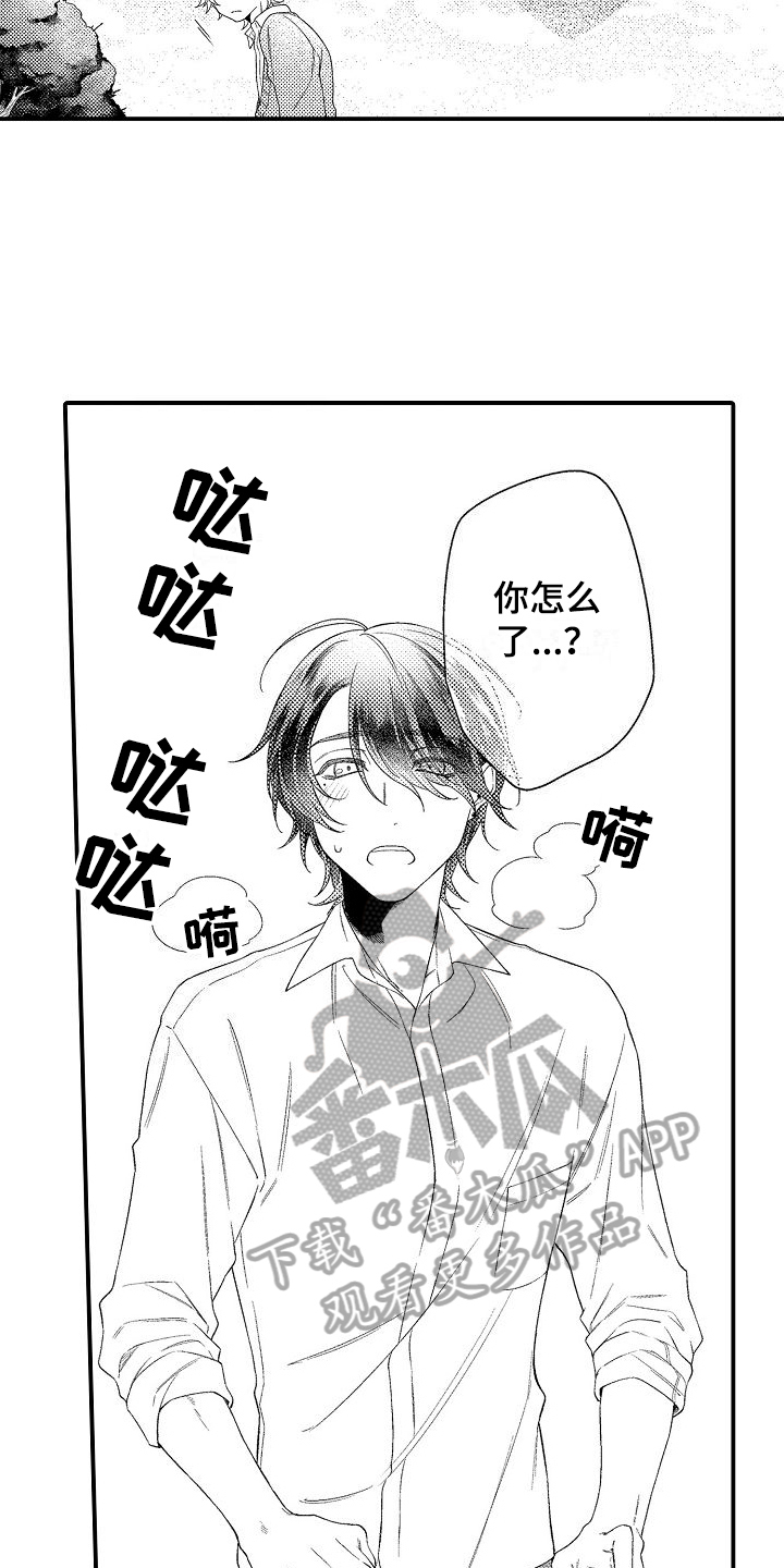 第4话：第4章：解释预览分镜
