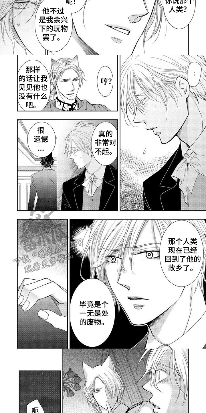 第15话：第15章：送走预览分镜