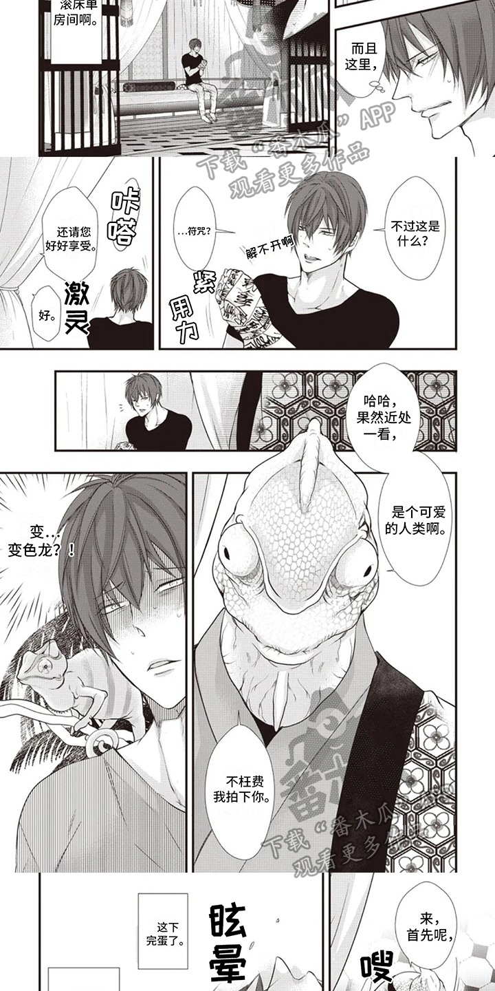 第5话：第5章：及时预览分镜