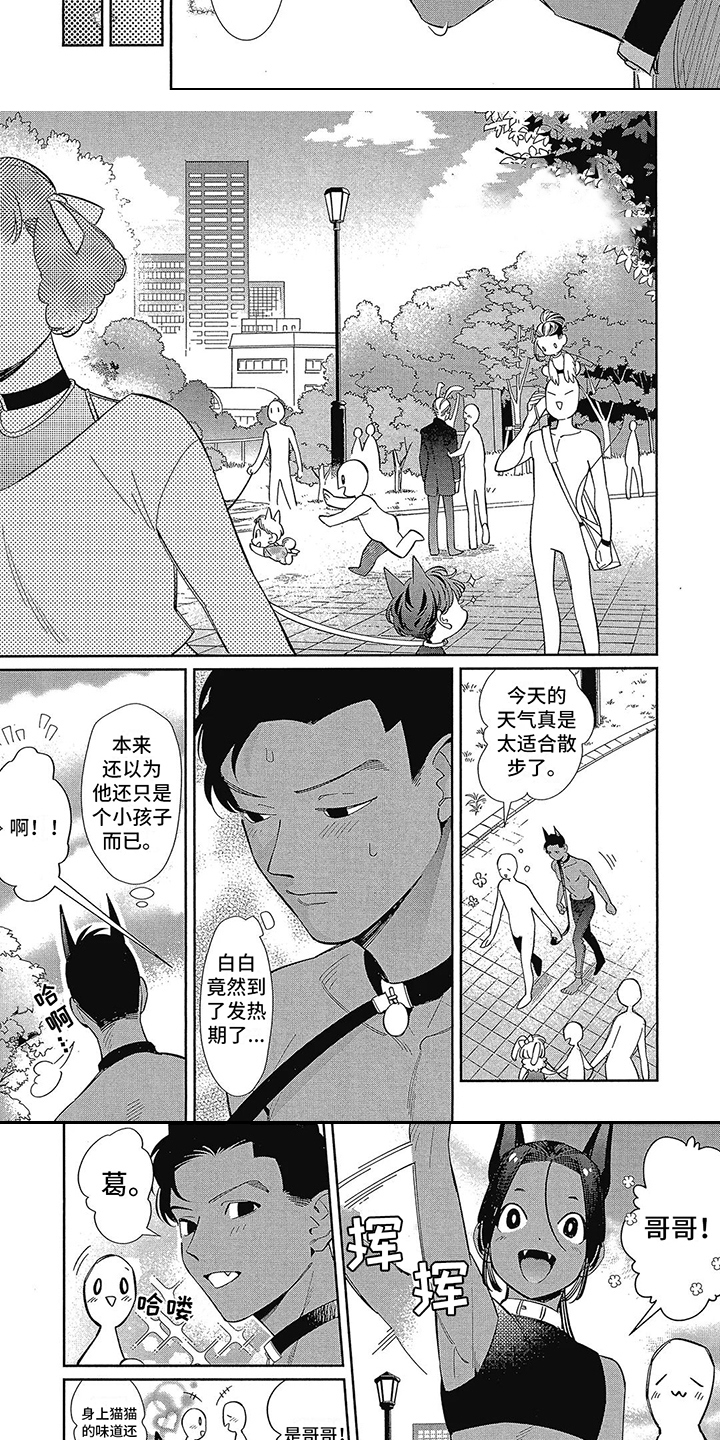 第4话：第4章：散步预览分镜