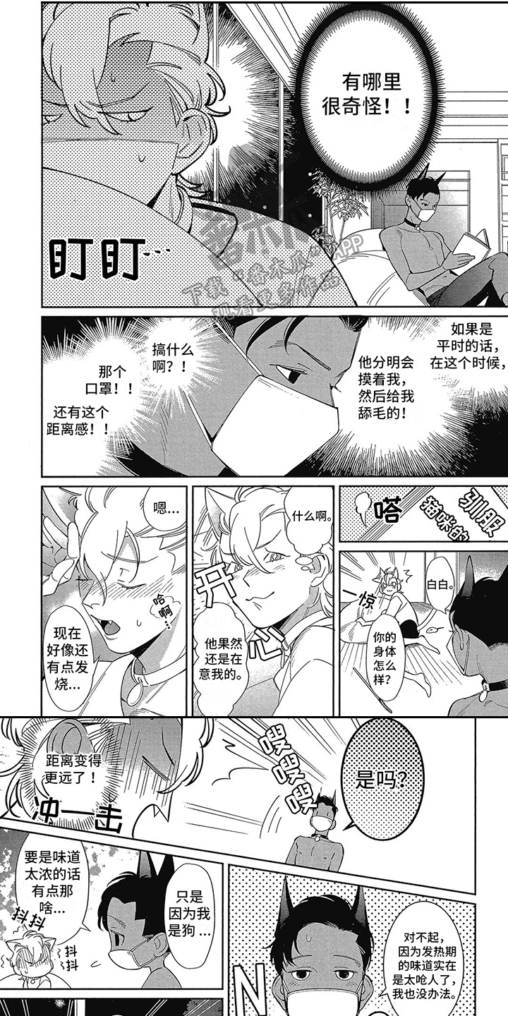 第5章:不安定