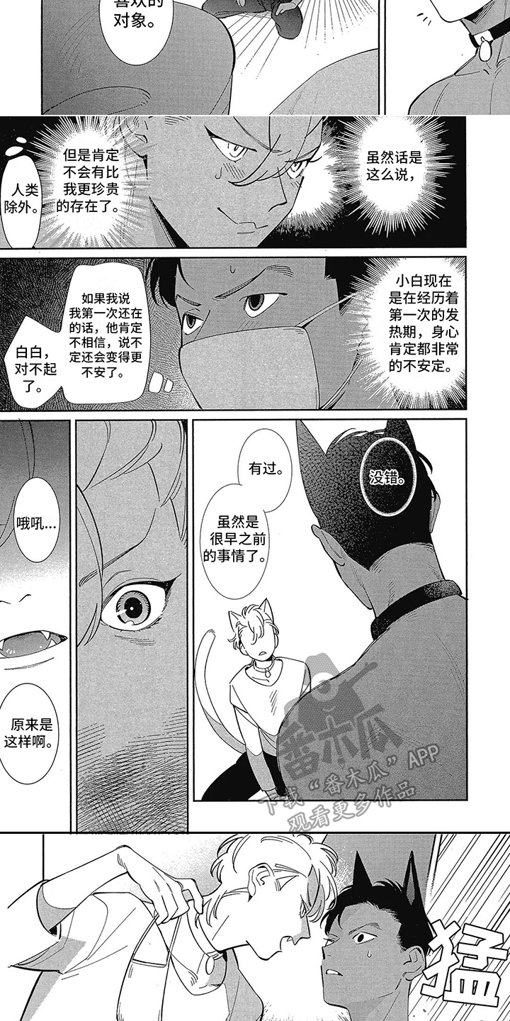 第5话：第5章：不安定预览分镜