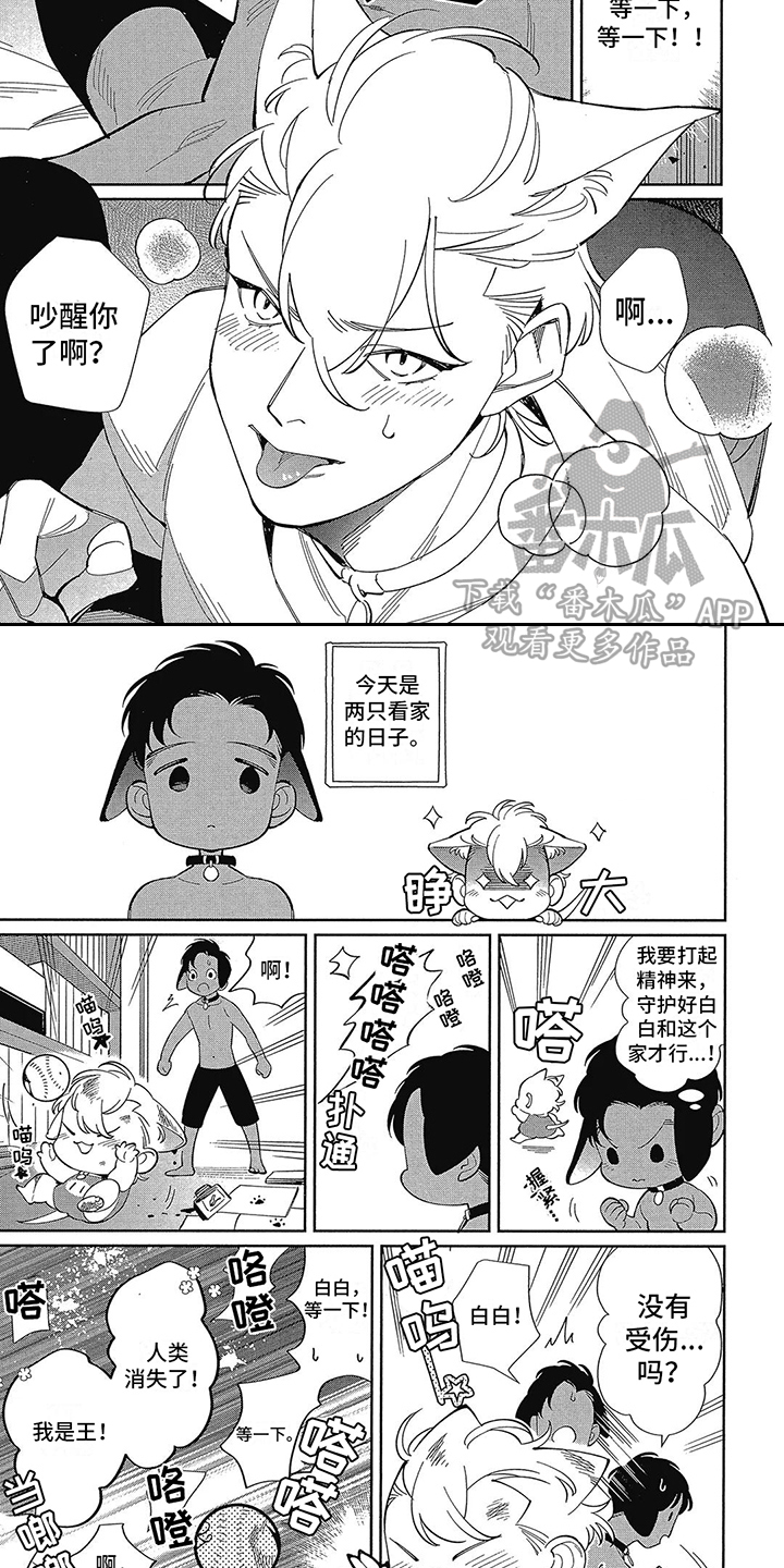 第8话：第8章：吵醒了预览分镜