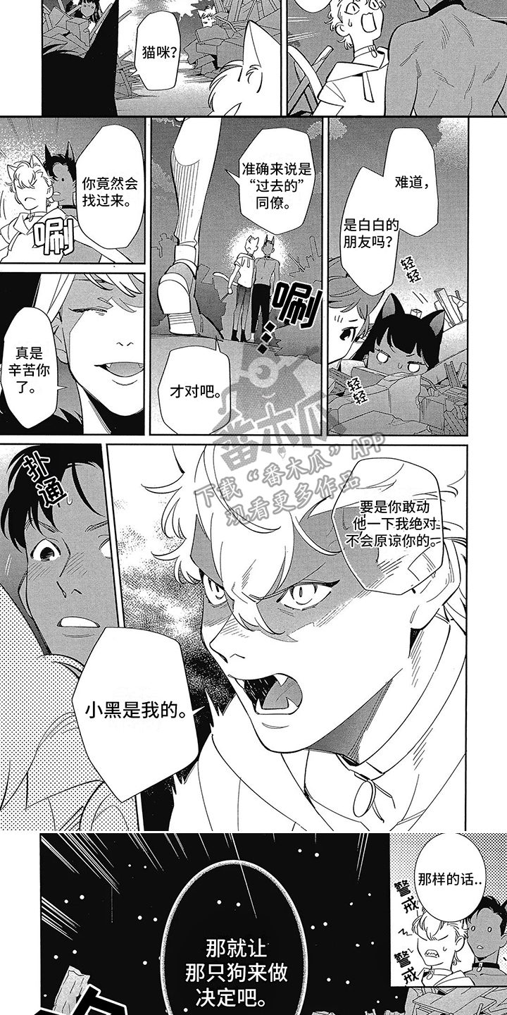 第13话：第13章：抉择预览分镜