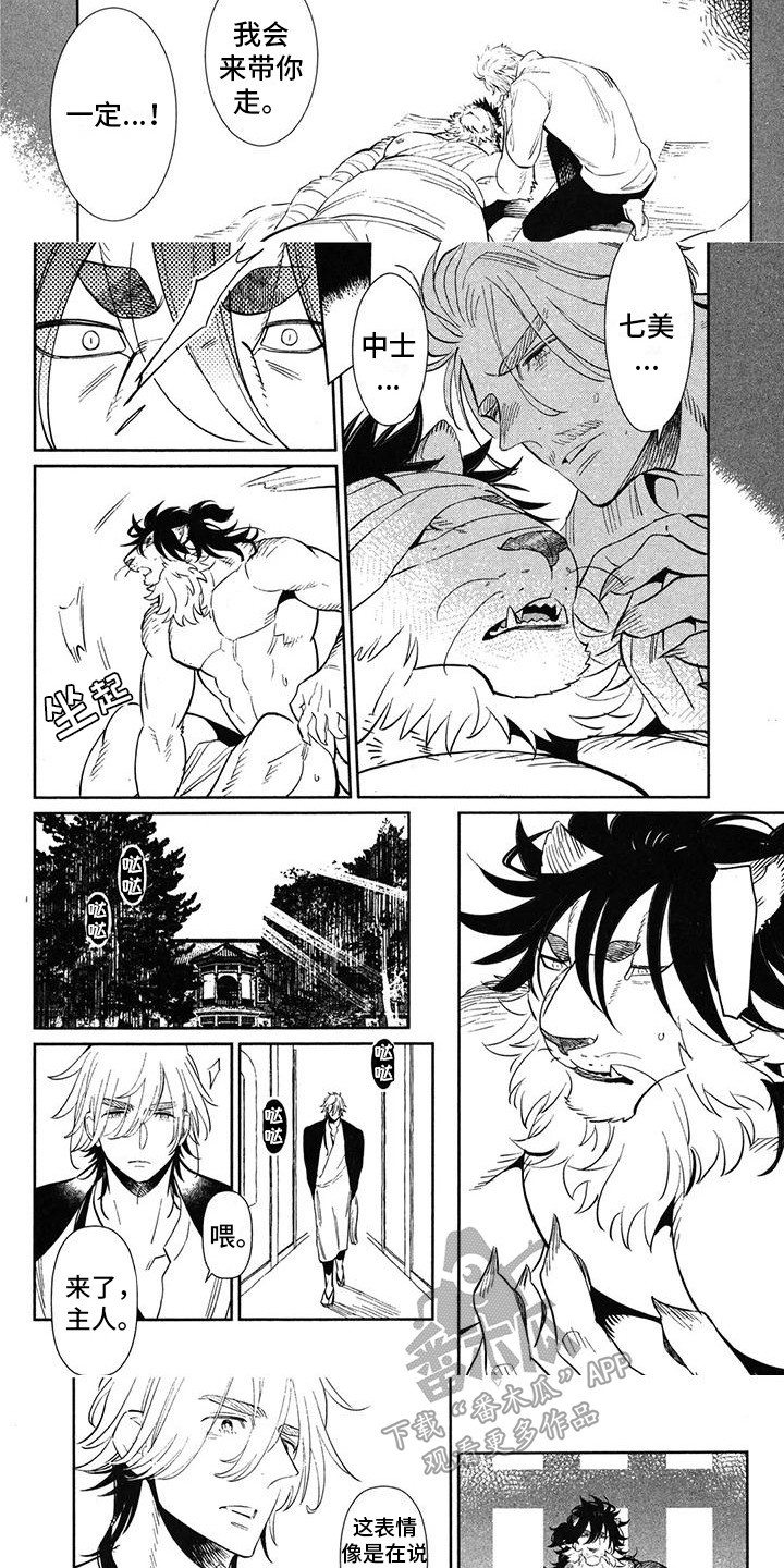 第13话：第13章：理由预览分镜