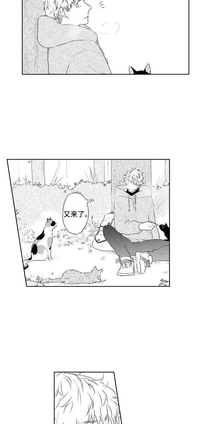 第3话：第3章：三花猫预览分镜