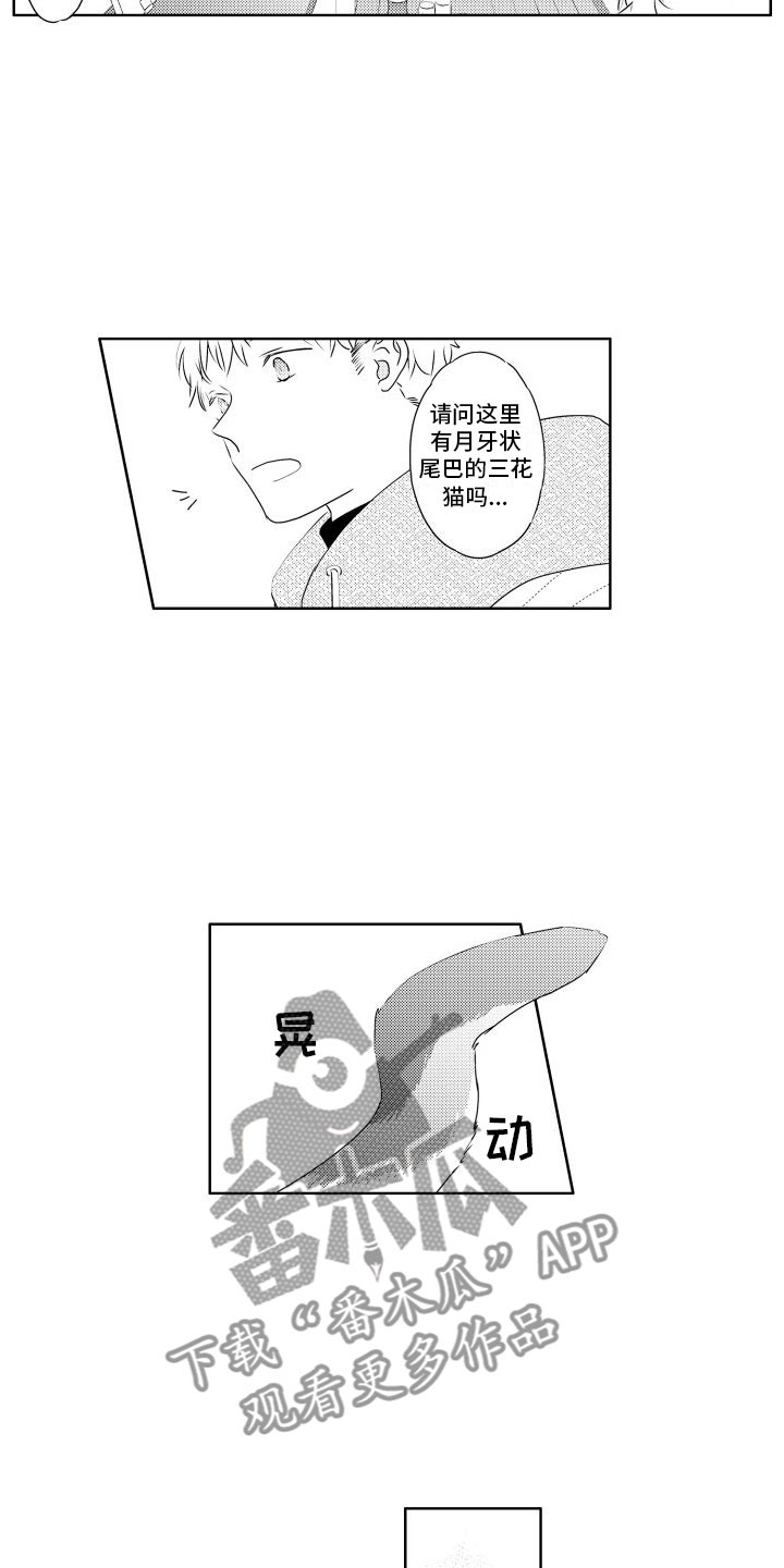 第4话：第4章：味道预览分镜