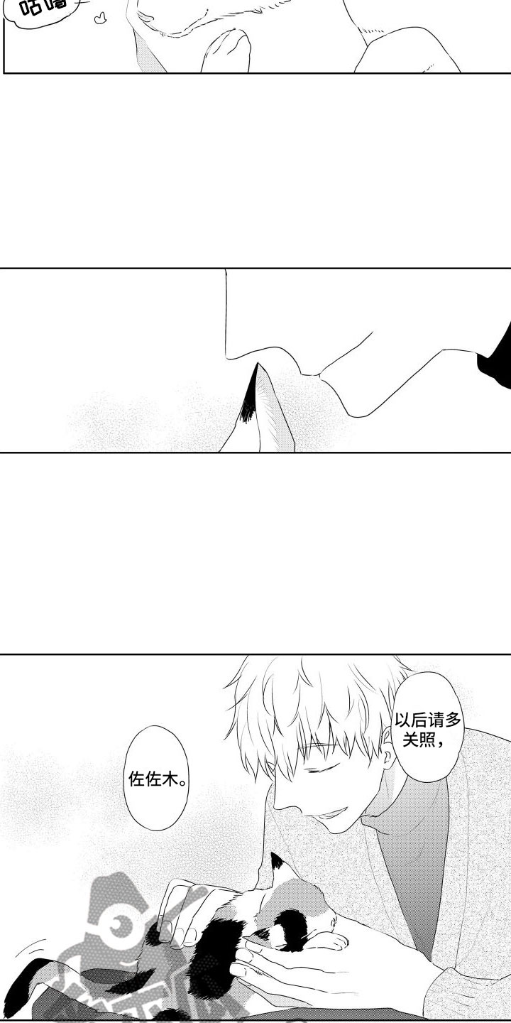 第6话：第6章：想看狗狗预览分镜