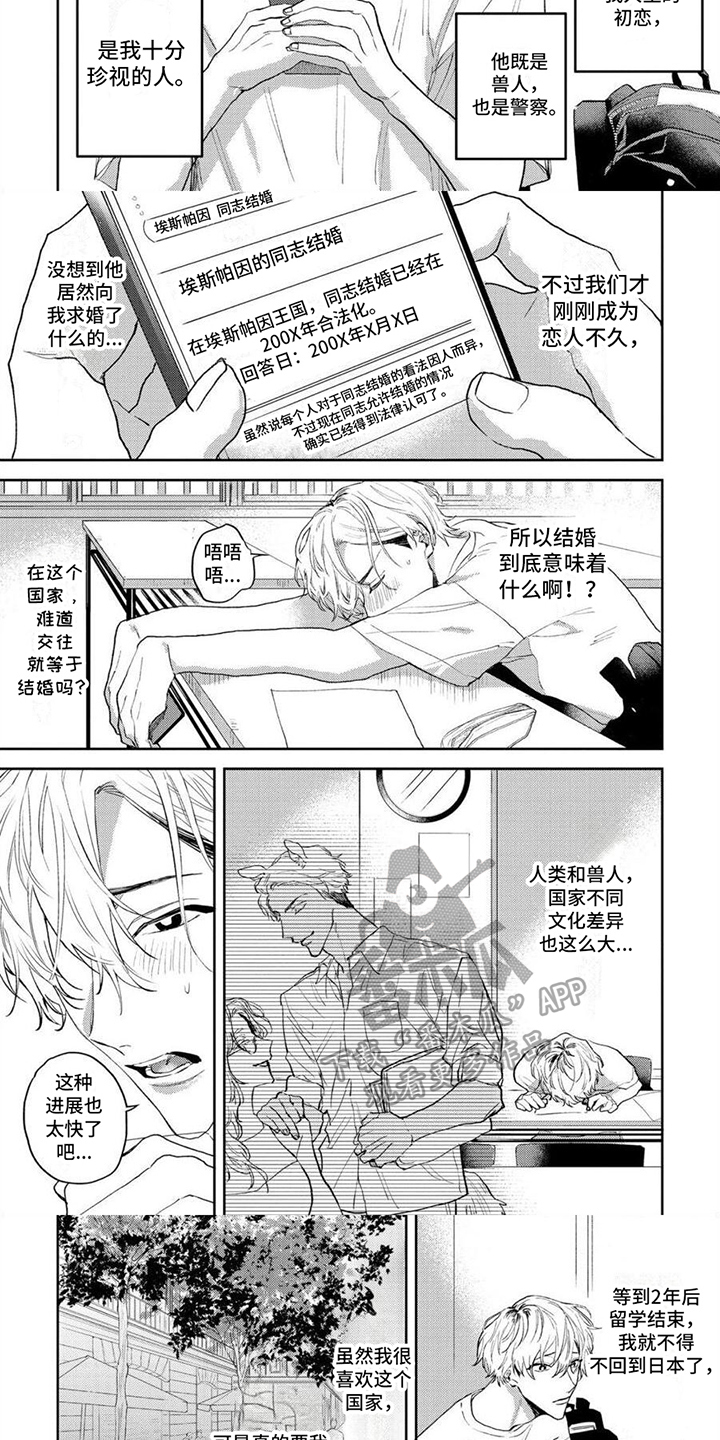 第9话：第9章：求婚预览分镜