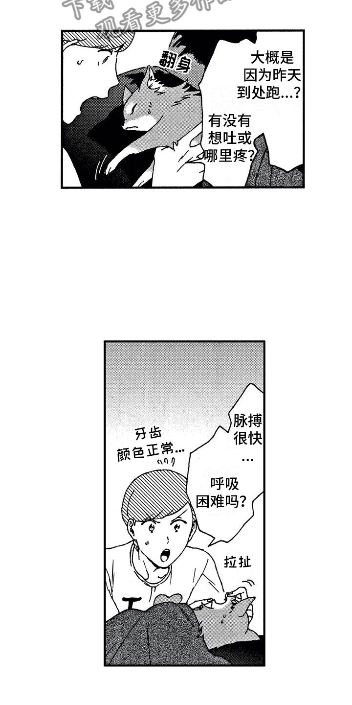 第4话：第4章：发烧了预览分镜