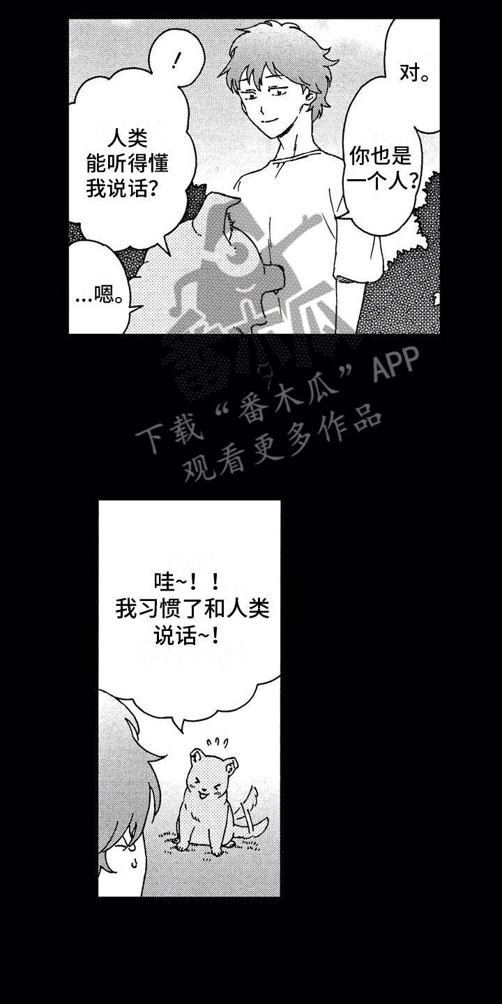 第5话：第5章：狼人预览分镜