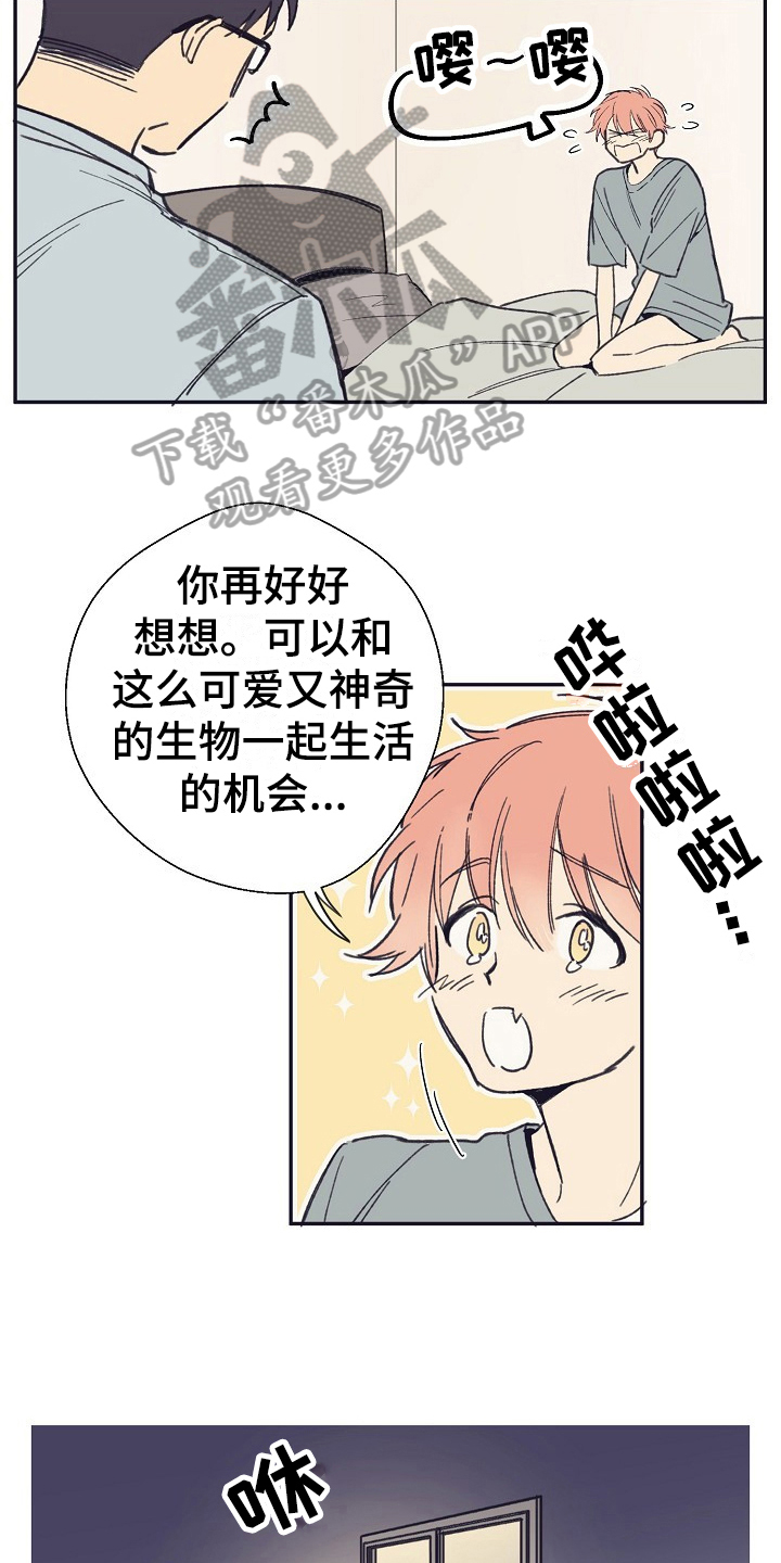 第4话：第4章：收留预览分镜