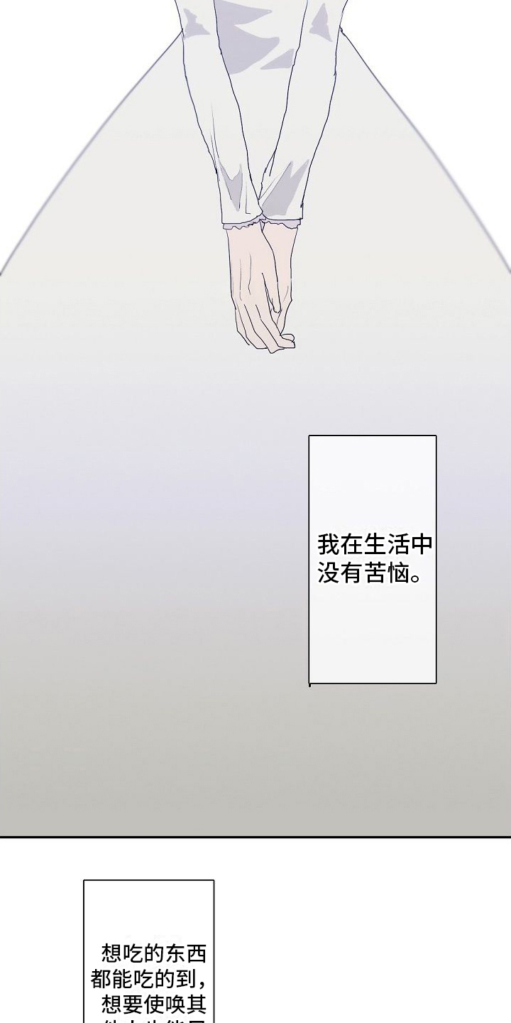 第4话：第4章：教导预览分镜